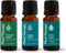 Plant Therapy Pain Support Essential Oil Blend Set 10 mL (1/3 oz)