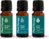 Plant Therapy Pain Support Essential Oil Blend Set 10 mL (1/3 oz)
