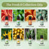 Set 8 Pack Set Fresh Essential Oils - Pure Aromatherapy Oils for Diffuser, Home Scents for Candle & Soap Making