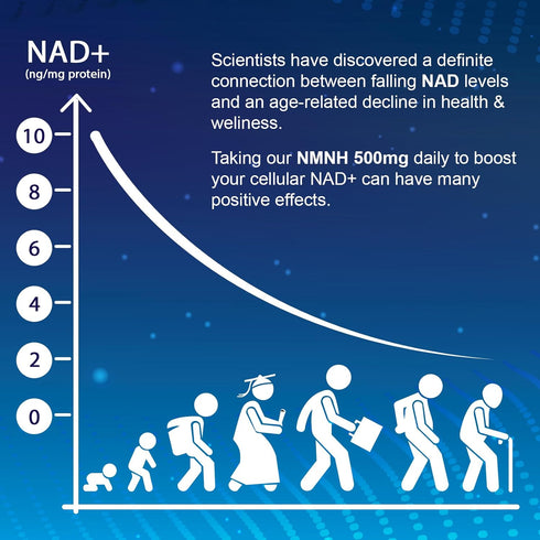 NMNH (Dihydronicotinamide Mononucleotide), 500mg NAD Supplement to Boost NAD+ Levels for Anti Aging, Energy, Focus - 60
