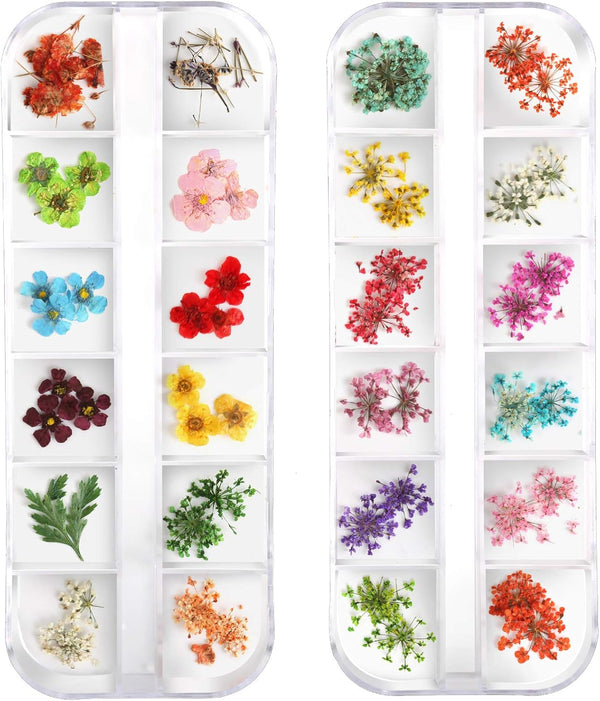 Teenior 24 Colors Nail Dried Flowers - 3D Nail Art Sticker for Tips Manicure Decor, Mixed Accessories (2 Boxes)