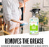 Aunt Fannie's Glass & Window Cleaning Vinegar Spray - Natural Streak-Free Cleaner, 16.9 Ounces (Pack of 3)