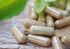 Dr. Herbalist Turmeric Curcumin Root Extract Capsules 250mg - 60 Capsules | Non-GMO | Vegetarian | High Potency I AKA Haldi Capsules (1 Pack: 60 Capsules)