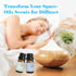 Set, Clean & Masculine Fragrance Oils AmaKane Fragrance Oil for Candle Making, Aromatherapy Essential Oils for Diffuser