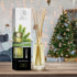 Pine Reed Diffuser - 3.4 Fl Oz, Fresh & Long Lasting Aroma, Great Room Air Fresheners, Gift Set