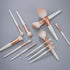 Makeup Brushes Set, EVRCHGIEA 12pcs Premium Brushes for Eye Shadow, Eyebrows, Foundation, White Travel Makeup Set