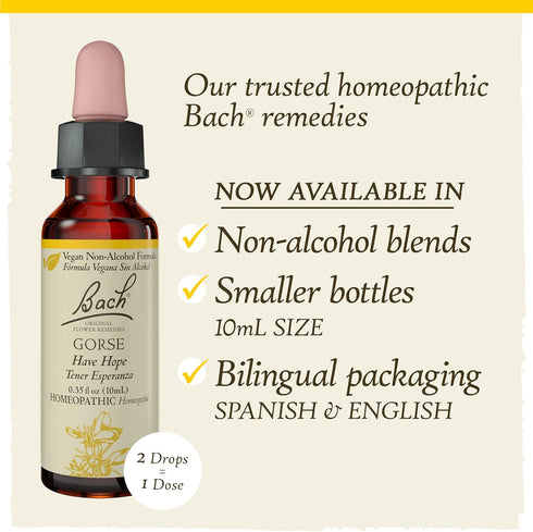 Bach Original Flower Remedies, Gorse for Hope (Non-Alcohol Formula), Natural Flower Essence for Holistic Wellness, 10mL