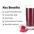 FORCE FACTOR Total Beets Superfood Beet Root Powder, 2-Pack, 60 Servings, Supports Circulation & Energy
