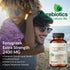 Futurebiotics Fenugreek Extra Strength 2400 MG, Non-GMO, 300 Vegetarian Capsules for Overall Good Health & Well-being