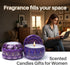 HOFOGOTOWIN Set, 12 Pack Set Zodiac Scented Candles Gifts Soy Wax Travel Aromatherapy Candles with Essential Oils