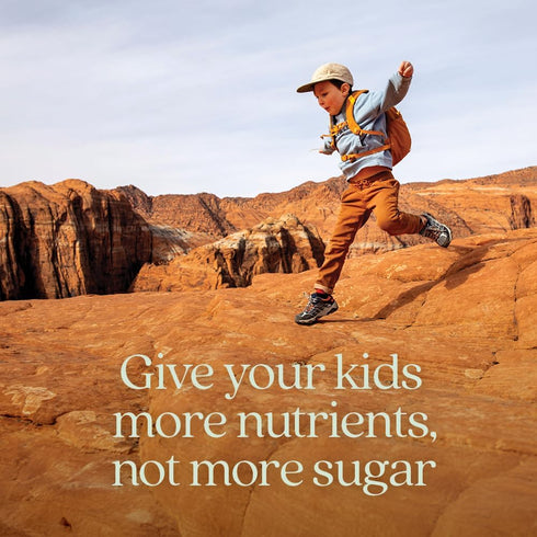 New Chapter Gummies 65% Gummy D3 60ct Kids Multivitamin - Less Sugar, Kids Vitamins with Vitamins C, & Zinc, Non-GMO