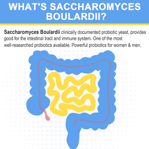 Saccharomyces Boulardii Probiotics | 200 Billion CFUs for Women & Men | Clinically-Studied for Gut & Immune Health