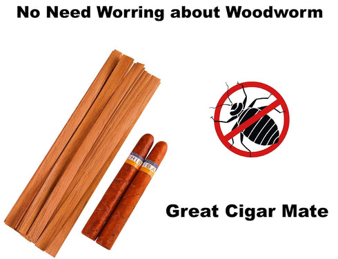 ROJOSER 100PACK Cedar Lighter for Cigars, Spanish Cedar Wood Veneer Lumber Strip Chip for Cigar Lighting & Smoking