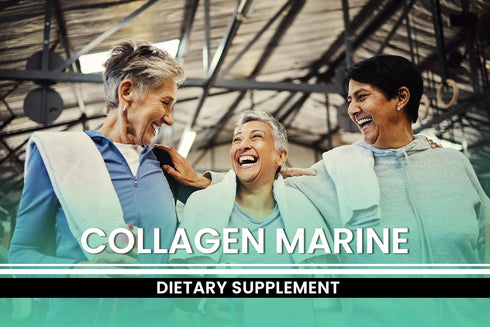 Marine Collagen (365 Capsules) by PURE ORIGINAL INGREDIENTS - Always Pure, No Magnesium or Rice Fillers