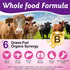 Immunity, B12, 60 (1) newseel Beef Organ Supplement for Women, Natural Grass Fed Beef Liver Capsules,Supports Feminine