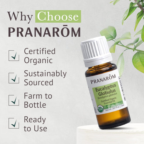 Pranarom USDA Certified Organic Eucalyptus Globulus Essential Oil (30ml) - 100% Pure for Aromatherapy, Relaxation