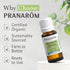 Pranarom USDA Certified Organic Eucalyptus Globulus Essential Oil (30ml) - 100% Pure for Aromatherapy, Relaxation