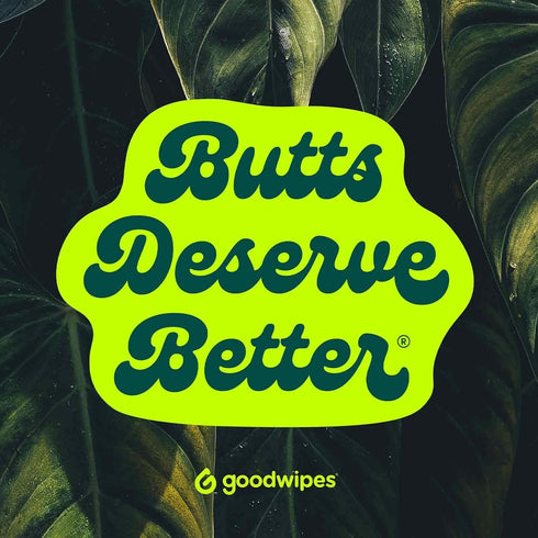 Pack, 240 Count (4 Packs) Goodwipes Flushable Butt Wipes Made with Vitamin E & Aloe - Soft & Gentle Wet Wipe Dispenser
