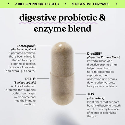 Lemme Debloat 3-in-1 Probiotic, Prebiotic & Digestive Enzyme Capsules - 60 ct for Bloating Relief