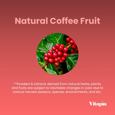 Vitacoffee Caffeine Pills - 60 Veggie Capsules - Coffee Fruit, Vitamin C, D, Zinc Gluconate - Energy, Memory, Focus,