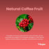 Vitacoffee Caffeine Pills - 60 Veggie Capsules - Coffee Fruit, Vitamin C, D, Zinc Gluconate - Energy, Memory, Focus,