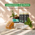 USDA Organic Lip Scrub Mint - Natural Ingredients for Moisturizing & Exfoliating Dry Lips - Small Beauty Gift