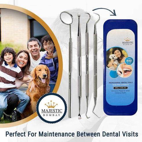 Dental Hygiene Tool Set, Stainless Steel Dental Kit with Tooth Pick, Mouth Mirror, Tarter Scraper, and Protective Case