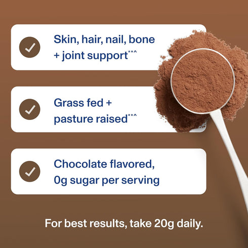 Vital Proteins Chocolate Collagen Powder Supplement (Type I, III) for Skin, Hair, Nail, Joint - 26.8 oz