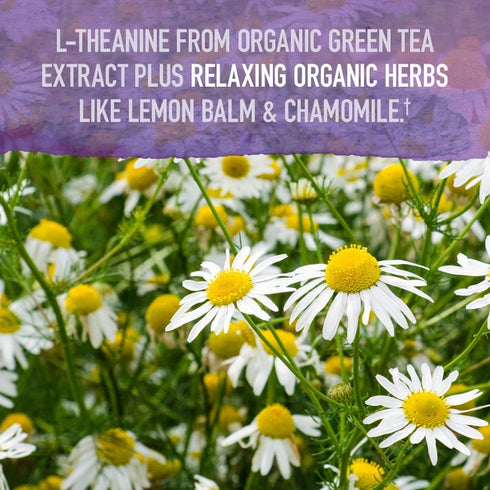 Garden of Life Organics Sleep Well - 30 Tablets - Rest & Refresh with Lemon Balm, Green Tea Extract, L-Theanine,