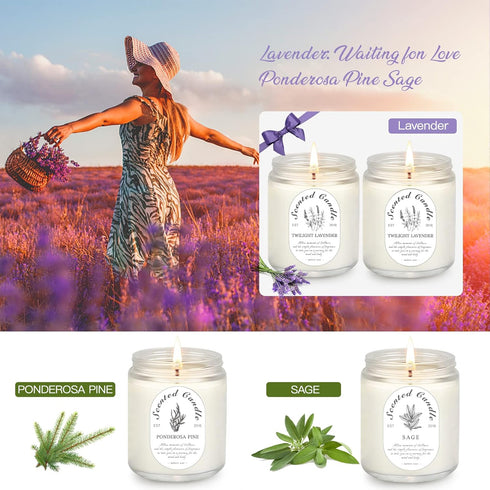 Set, 4 Pack Scented Candle Gift Soy Wax Scented Candles for Home Lavender, Sage & Ponderosa Pine Aromatherapy Candles