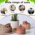 Wshxjzyay 3 Pieces Wood Diffuser for Essential Oils, Aromatherapy Diffuser Black Walnut Wood for Home Office Bedroom