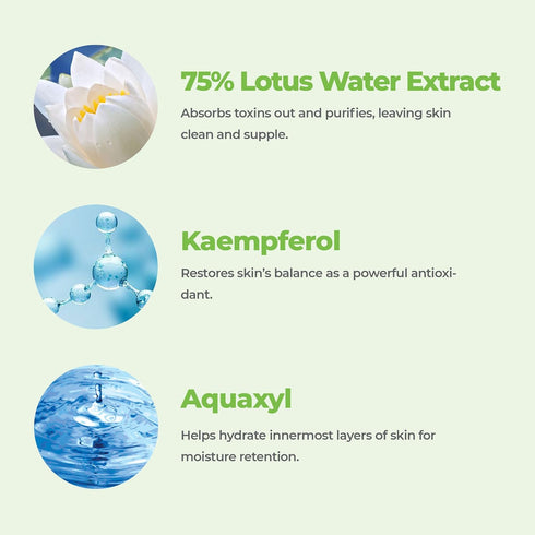 ROVECTIN Calming Lotus Water Cream - Lightweight Face Moisturizer for Oily, Combination Skin, Vegan Korean Skincare