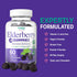 Elderberry Gummies with Vitamin C and Zinc, Immune Booster for Adults and Kids, Vegan Natural Ingredients, Antioxidant