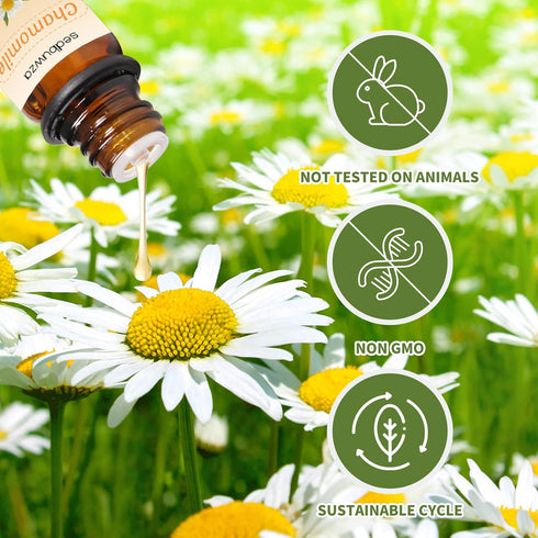 Sedbuwza Lavender Chamomile Essential Oil Set, Lavender and Chamomile Scent Oils for Diffuser, Aromatherapy, Candle