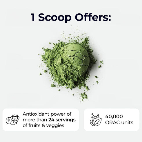 Paradise ORAC Energy Greens Powder Extract, 60 Servings - Super Antioxidants, Probiotics for Gut Health & Digestion