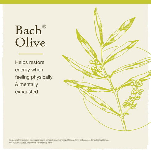 Bach Original Flower Remedies, Olive for Energy (Non-Alcohol Formula), Natural Homeopathic Flower Essence, Holistic Wellness and Stress Relief, Vegan, 10mL Dropper