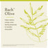 Bach Original Flower Remedies, Olive for Energy (Non-Alcohol Formula), Natural Homeopathic Flower Essence, Holistic Wellness and Stress Relief, Vegan, 10mL Dropper