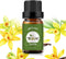 yethious Vanilla Essential Oils for Diffuser & Aromatherapy - Pure Vanilla Oil for Skin Gift Oils, 10ML