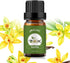 yethious Vanilla Essential Oils for Diffuser & Aromatherapy - Pure Vanilla Oil for Skin Gift Oils, 10ML