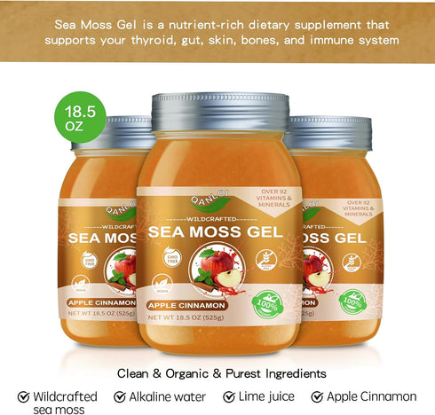 Seamoss Raw Organic Gel | 18.5 Oz Irish Sea Moss Supplement for Immune Support (Apple Cinnamon)