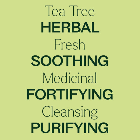 Plant Therapy Tea Tree Essential Oil 10 mL (1/3 oz), 100% Pure, Natural Aromatherapy
