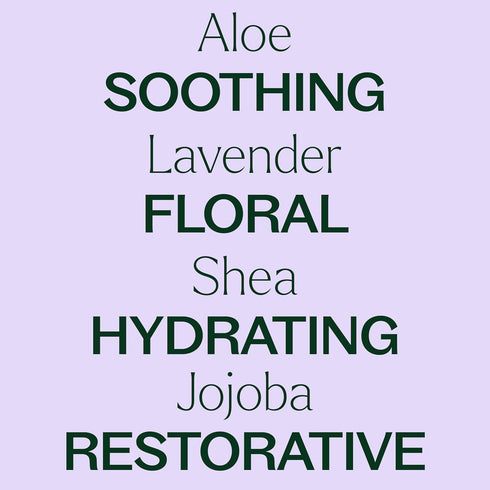 Plant Therapy Lavender Body Lotion with Aloe and Shea, 8 oz - Hydrate and Nourish Skin with Botanical Ingredients