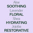 Plant Therapy Lavender Body Lotion with Aloe and Shea, 8 oz - Hydrate and Nourish Skin with Botanical Ingredients