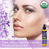 US Organic Body Oil - Elegant Lavender - Jojoba and Rosehip Oil, Certified Organic, 5 Fl.oz.