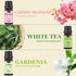 Essential Oils Set | 6 x 10 ML for Diffuser, Aromatherapy, Candle & Soap Making