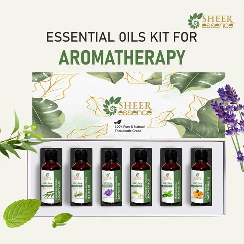 Set 6 15ml 6 Essential Oils - x - Top Fragrances (Sweet Orange, Eucalyptus, Lavender, Peppermint, Tea Tree, Lemongrass)