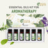 Set 6 15ml 6 Essential Oils - x - Top Fragrances (Sweet Orange, Eucalyptus, Lavender, Peppermint, Tea Tree, Lemongrass)