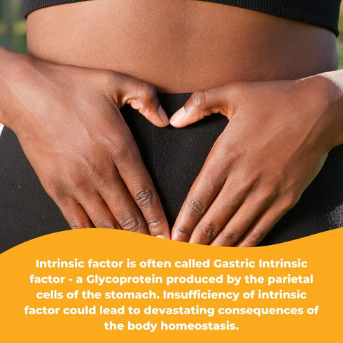 Intrinsic Factor with Folic Acid and Vitamin B-12 - 1000mcg, 120 Capsules
