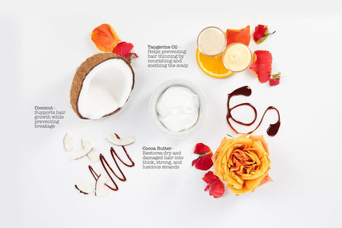 SAUCE BEAUTY Crème Brulee Curling Custard - Curl-Defining Cream for Wavy-Coily Hair, 10.5 Fl Oz