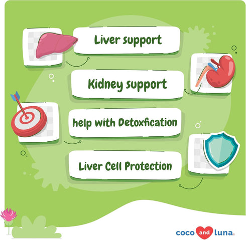 Milk Thistle for Dogs - 90 Soft Chews for Liver and Kidney Support, Detox, EPA & DHA, Choline, L-Arginine